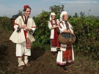 /album/druzhjestvo-krajeznanije-pljevjen/nosii-ot-pljevjensko-jpg/
